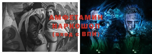 дживик Бородино