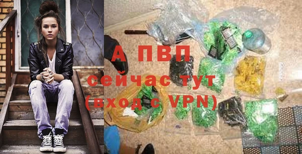 спиды Бронницы