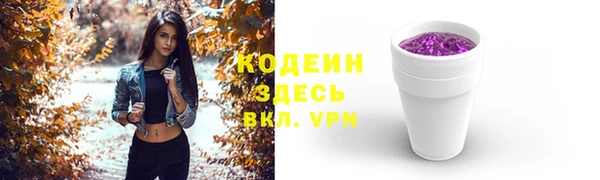 дживик Бородино