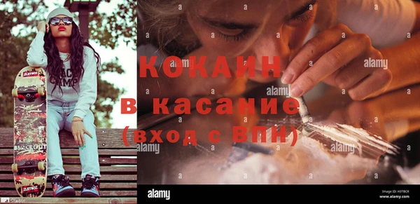 дживик Бородино