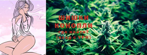 дживик Бородино