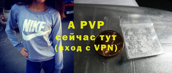 дживик Бородино