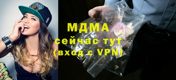 дживик Бородино