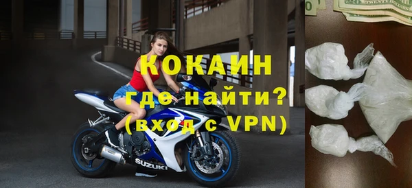 дживик Бородино