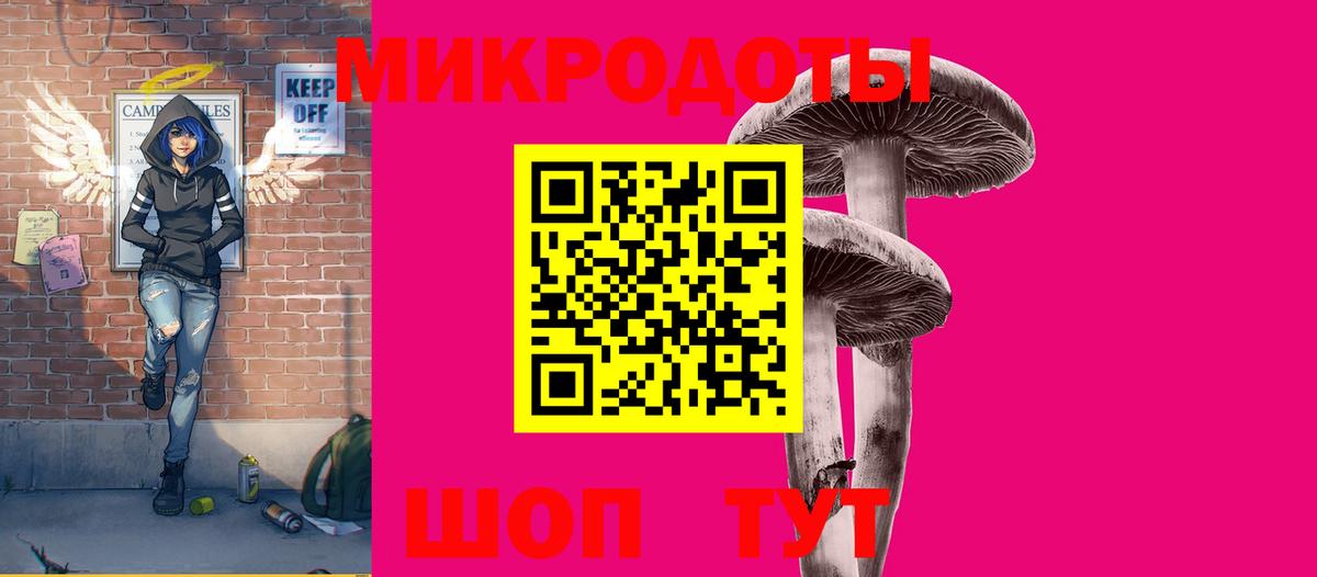 Псилоцибиновые грибы прущие грибы Верхняя Пышма